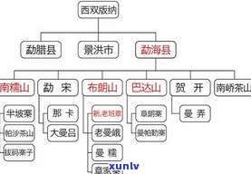 多少年古树普洱茶好喝？年限与口感的关系解析