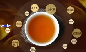 普洱茶里的有机物-普洱茶里的有机物是什么