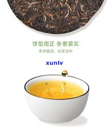 一个普洱茶饼多大尺寸：直径、重量及适合的杯子大小