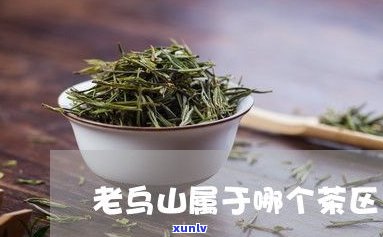 曼松普洱茶属于哪个茶区？品牌、山头及特点全解析，哪个牌子更优？