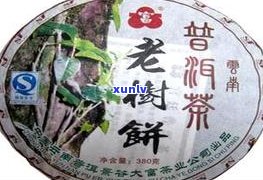 普洱景谷云春茶厂：联系  、厂长及儿子介绍，一文熟悉云南景谷云春茶厂全貌