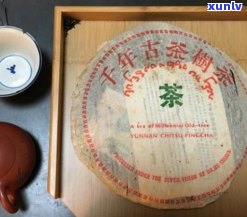 国汉七子生普洱茶-国汉七子茶饼