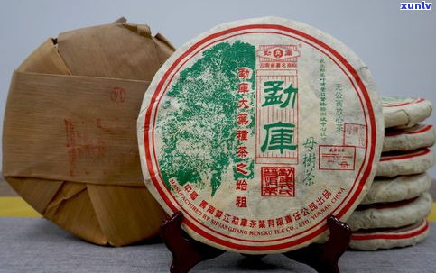 普洱茶茶厂：前十名排名及代号，云南珍好厂家一览