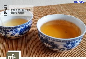 小蔡普洱茶怎么样-小蔡普洱茶怎么样好喝吗