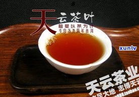 景迈普洱茶哪个牌子更好？品牌排行榜帮你选！