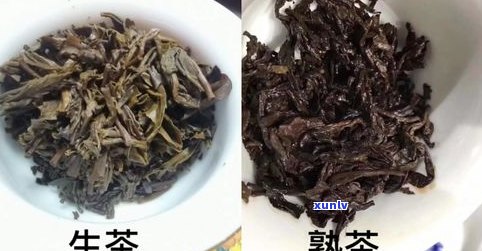 普洱茶炒40分钟真的可以喝吗？炒制时间对口感有何作用？