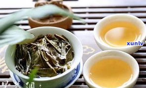 云南哪家普洱茶好-云南哪家普洱茶好喝