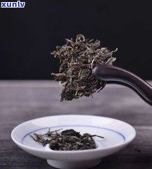 普洱茶在国外受欢迎程度怎样？