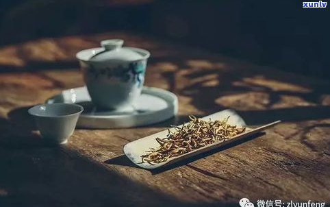 外国人泡普洱茶喝-外国人泡普洱茶喝视频