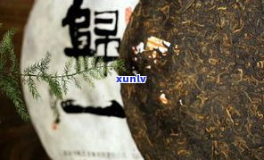 普洱茶内飞怎么处理？去除 *** 与含义全解