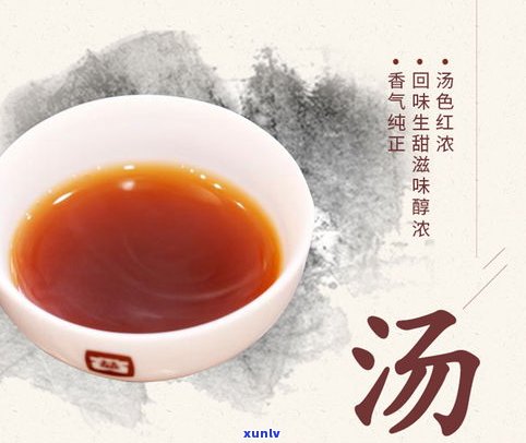 大益普洱茶饼怎样冲泡好喝？详细图解及价格介绍