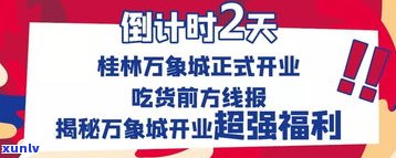 加油站送的普洱茶是什么？品牌、种类揭秘及防骗指南