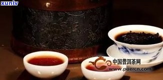 有关普洱茶的问题：全面解答常见疑问