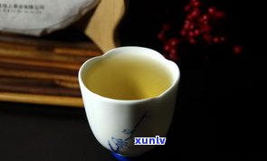 滇略普洱茶：探寻云南滇普记茶业有限公司的优质滇洱茶叶与滇垚、滇泊洱普洱茶珍的价格