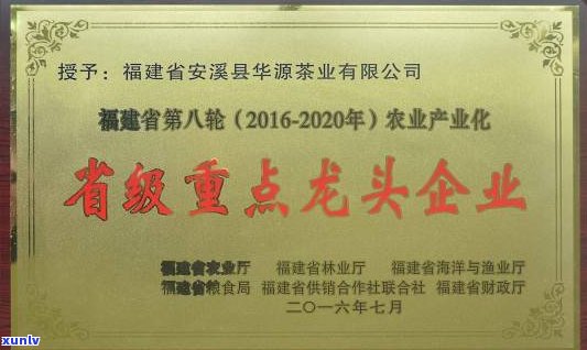 象谷茶业有限公司：茶叶品质、价格及公司评价全解析