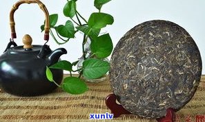 曼糯茶价格：探究古树茶价与常见品种的区别