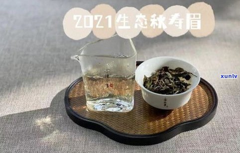 普洱茶压饼后多久恢复香气？了解压饼过程与干燥 *** 