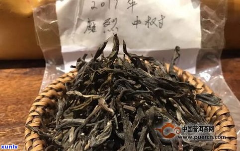 琅邦普洱茶口感如何？价格多少？产品评价怎样？