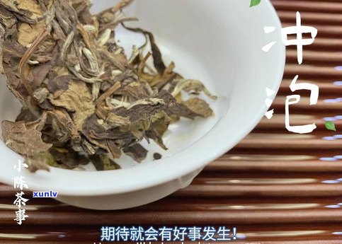 易记普洱茶怎么样-易记普洱茶怎么样好喝吗