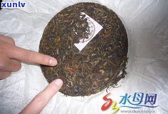 详解普洱茶的分区：产地、种类、特点一网打尽