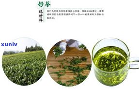 妙韵茶叶：价格、种类全解析，让你熟悉每种茶叶的售价与特点。