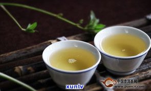 普洱茶一年的成本-普洱茶一年的成本是多少