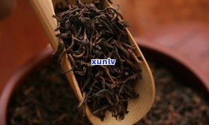 极细芽头的普洱茶：品种、特点与鉴别 *** 