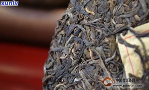 普洱茶散料怎么做-普洱茶散料怎么做的