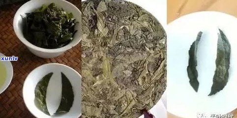 开基普洱茶多少钱-开基普洱茶多少钱一斤