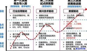 普洱茶属于什么性质？探讨其本质特性与分类