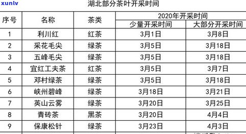 一斤普洱茶需要多少鲜叶？计算公式与实测数据解析