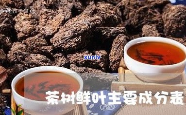 普洱茶鲜叶图片大全：高清欣赏与价格查询