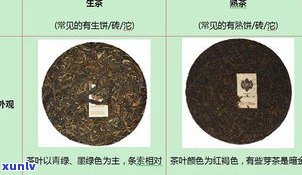 三棵树普洱茶价格表与图片全览，深入了解三棵树普洱生茶特性