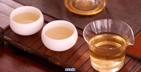 三棵树普洱茶价格查询及生茶评价