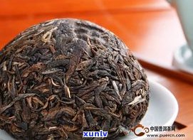 天下之一仓普洱茶：品种、价格及品质全解析