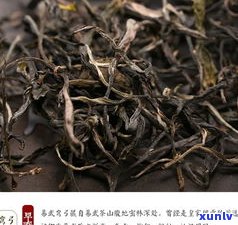 易武普洱茶天花板-普洱茶易武的价格