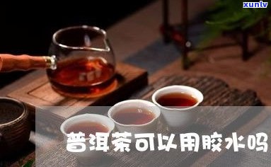 黑龙江普洱茶喝法介绍：图片、视频全攻略，哈尔滨地区必看