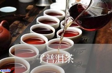 百年普洱茶饼价格、功效与作用全解析及价格表图