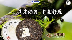 沧源碧丽源茶业：云南特产，优质茶叶供应商，专注于生产与销售各类茶叶，以纯天然、无污染的原材料为保障，致力于为您提供更优质的茶叶体验。