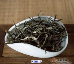 普洱茶鲜叶太嫩了还能喝吗？老叶与嫩叶哪个更好？