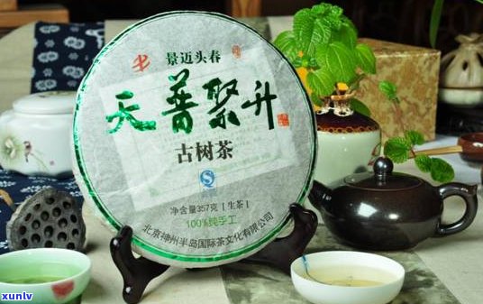 普洱茶鲜叶太嫩了-普洱茶鲜叶太嫩了怎么办