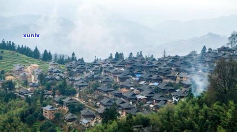 千家寨宫廷普洱茶-千家寨普洱茶价钱