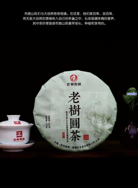 嘉茗牌普洱茶：品质、价格与品牌介绍