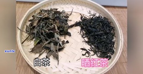 普洱茶能解吗？真实效果如何？