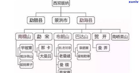 普洱茶的五大层次：含义、组成及特点解析