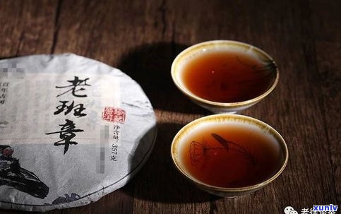 六山普洱茶：创始人揭秘与十年老饼价格