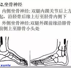 什么叫马蜂腰？详解其特点、图片及与体型、面相的关系