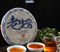 丽水知名熟普洱茶-丽水知名熟普洱茶店