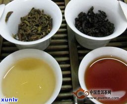 一年的普洱茶价格：新茶还是老茶？多少钱一斤、一饼？是否值得购买？