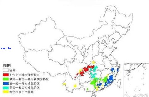 临沧产区的普洱茶：产地、种类与特点全解析